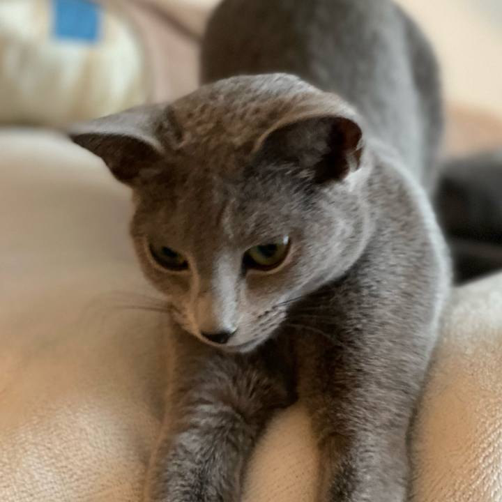 6b23e2e8 ff67 43f5 a8d4 1274577bf659 1612425923581