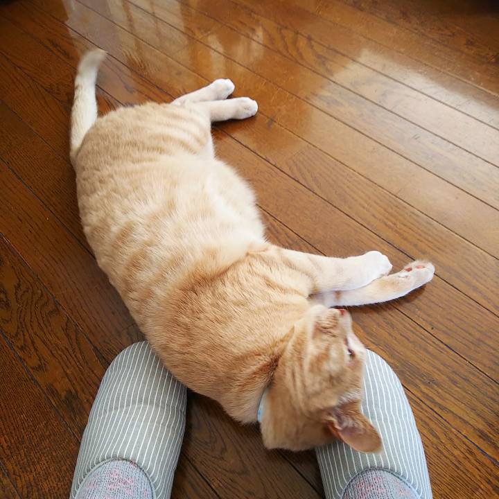 6b2403f6 68a5 40b9 b463 e39616f20db3 1622431195846