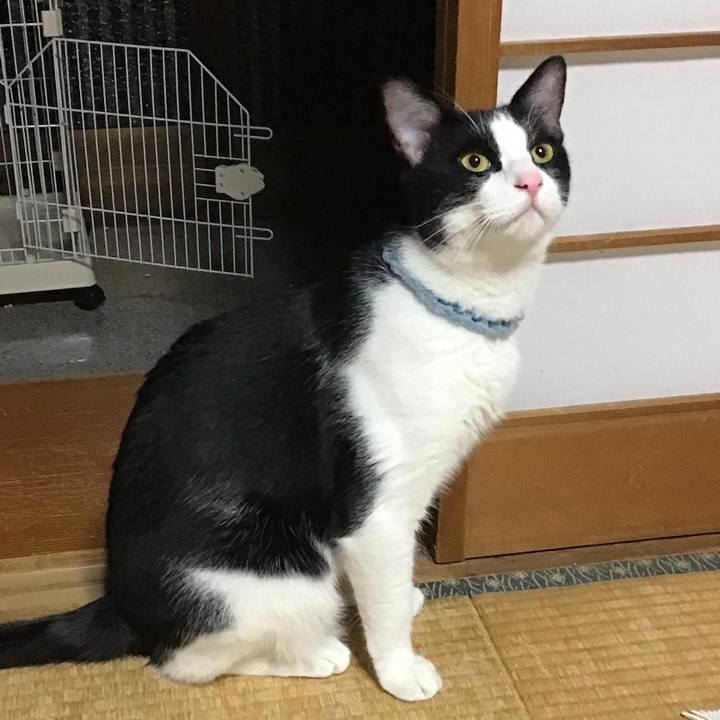 6b242180 3e7d 4205 a48c 9008385ecbd6 1662028711707