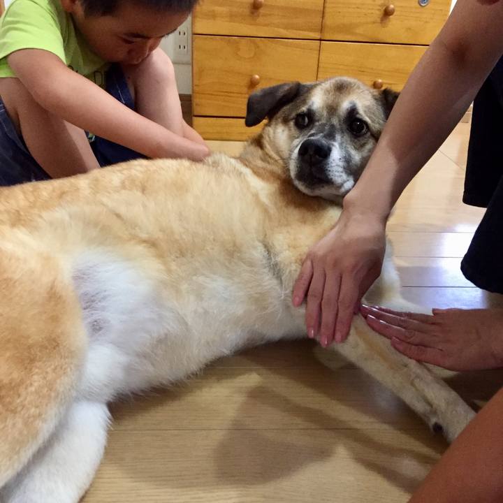 6b2439df e48a 4aef 8030 cd5574017478 1566110541662