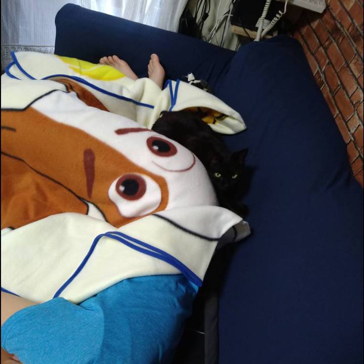 6b2480a2 c3dd 43d7 82fc 55c817192071 1651392521649