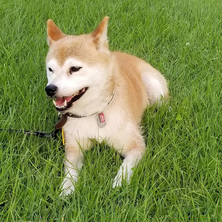 6b24a1b7 9cc8 4703 9a0b 573a78f1e3ff 1596358828843