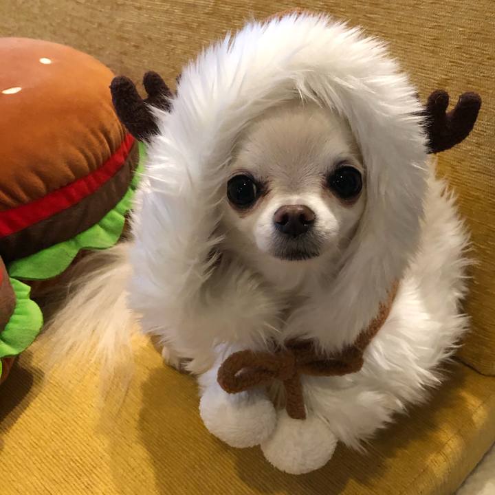 6b24b07f f435 4566 8abe f7f4c37c9be5 1575847458014