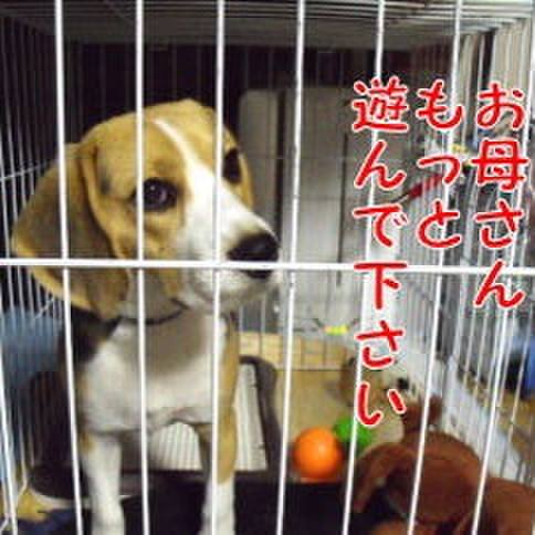 6b24be48 c0c3 467f 8dc0 0ca7f5115708 1683157241708