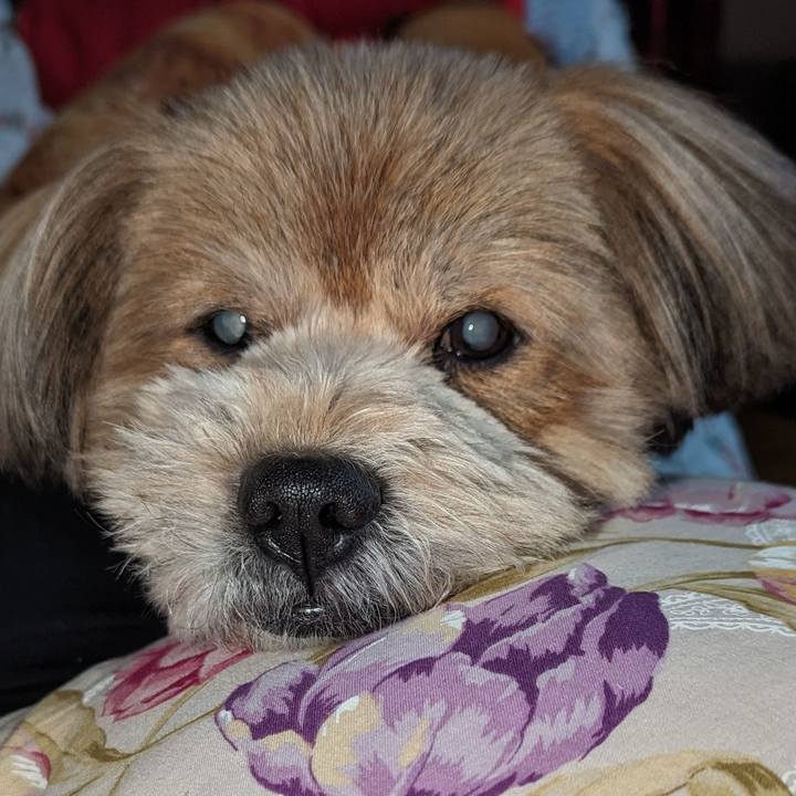 6b24d3f0 4f27 4a26 bf13 096facd54f15 1687359102206