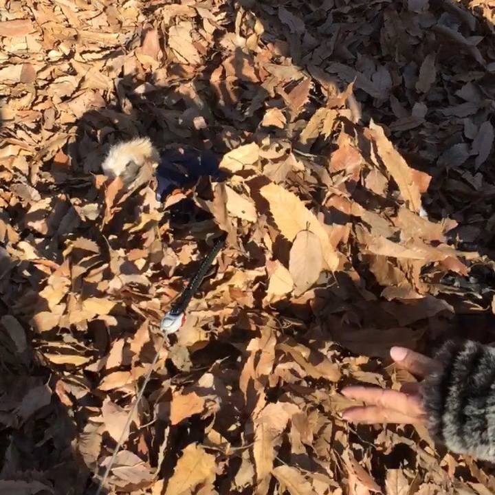 6b24e5b2 e4ef 4af6 ad41 842df90be520 1547455894523