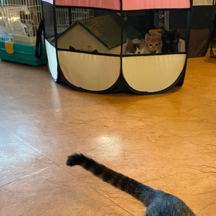 6b250872 47b0 4107 ae82 c15491d273f1 1632475146189