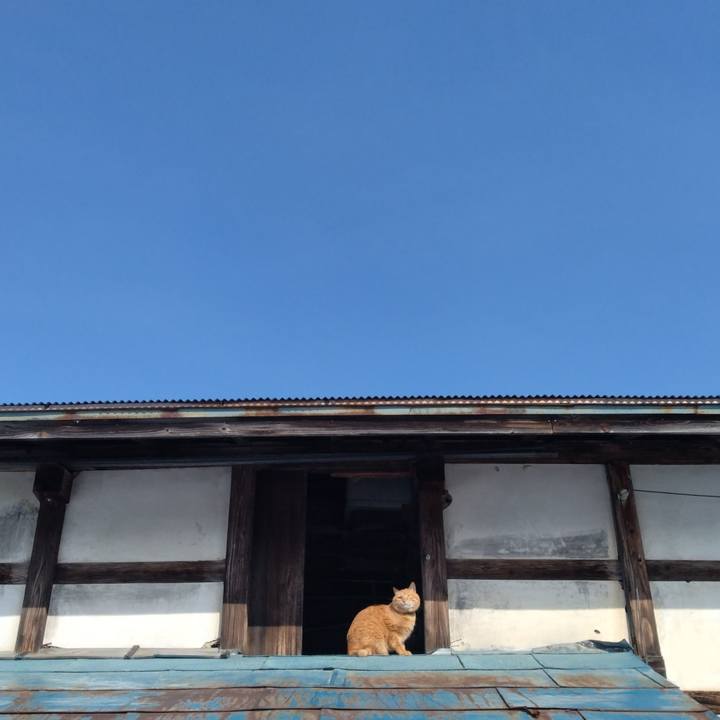 6b2574b2 c925 4400 a9e5 22dc3acc0573 1738466658977