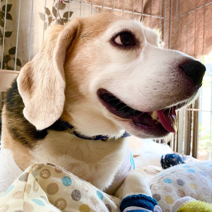 6b25b383 03f5 456e a91d 6535b4e99019 1592282863257