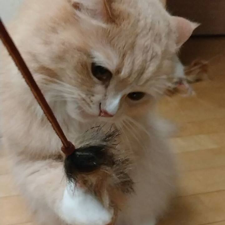 6b260251 d180 410e 8a00 2907d6d6b332 1706448799420