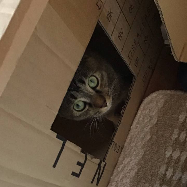 6b261e31 ae50 412d 84eb 55f5da9982d7 1616490499959