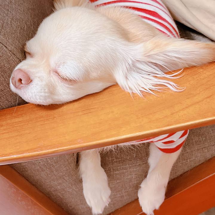 6b264748 ac38 420a 9f49 a0334d38099f 1664519062022