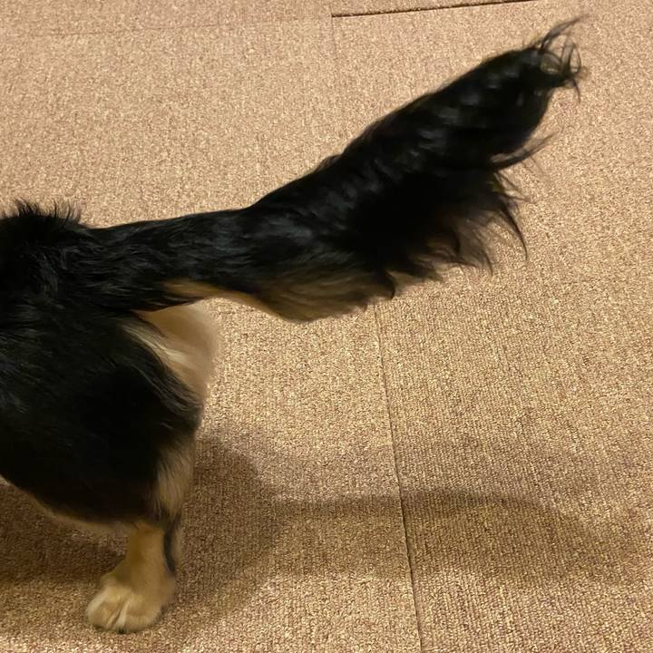 6b264a43 d9e5 499e a476 c03cc55ffc8a 1680433543197