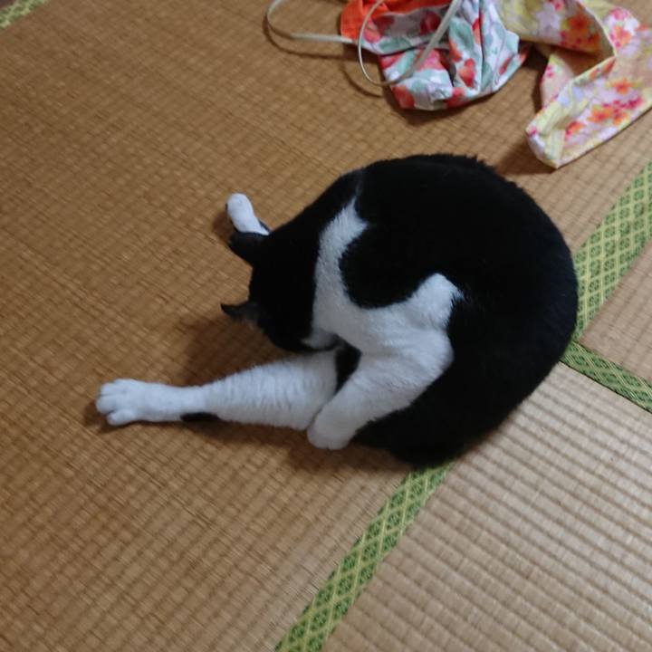 6b26bae3 ccab 44e2 986b 5fb76def48c6 1530070711176