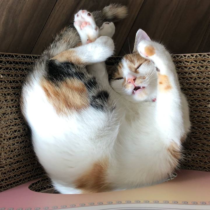 6b26d12b f905 428b 9dd2 c3cd68ff5de5 1570337772445