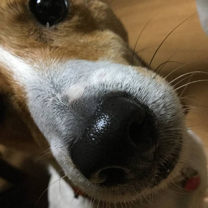 6b26d9a6 5158 458f 9346 2d7984f4764c 1523441797736