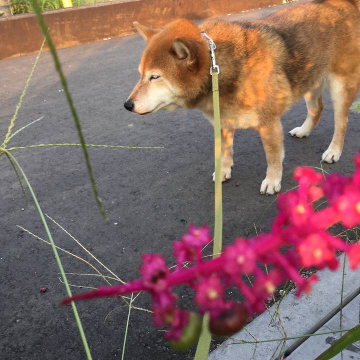 6b26fe23 0915 4ca5 a7a9 e49080ae2c95 1596619090623