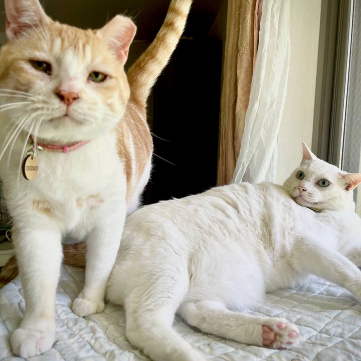 6b2702a1 fafa 4cca bbb9 86b32dbcd11a 1664286584287