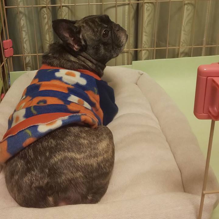 6b276ccb fe2a 4d46 8ef3 a06cae2b1729 1674916545562