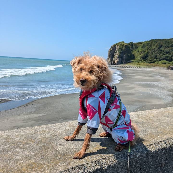 6b277e28 f6de 42f4 b5ed 39d9f96050fa 1724367703830