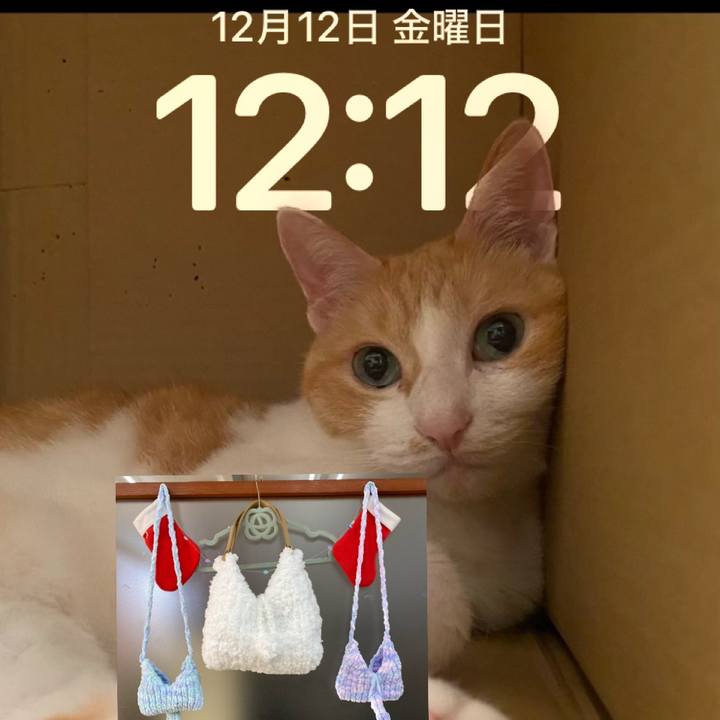 6b278041 d692 4a7b ad62 9b6cf770de17 1765509660673