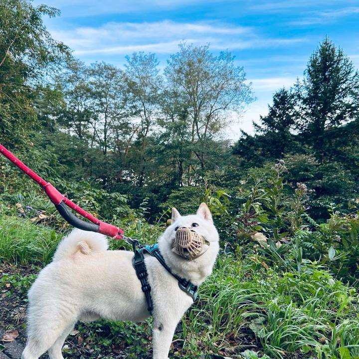 6b2786ae 3a7f 46fd 843a 4a4d85476fdf 1758577021648