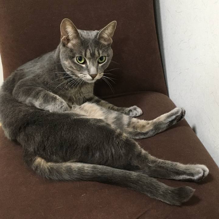 6b279be3 1a69 46b8 be21 4e5459c3d327 1571182430305