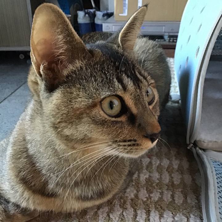 6b279c88 3e48 49ec ac82 5f4c41655a43 1576143501514