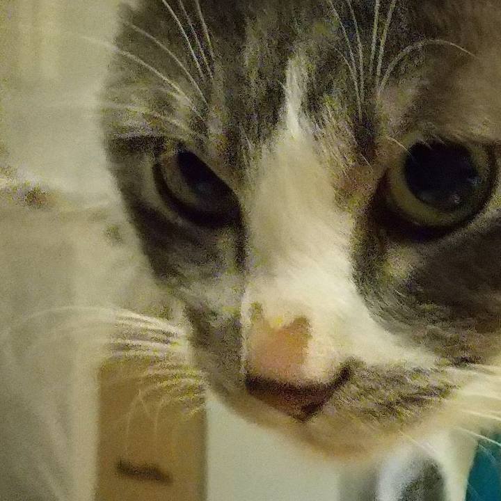 6b279d23 18e9 4ad7 9667 a6ec6e1de1c6 1614691316916