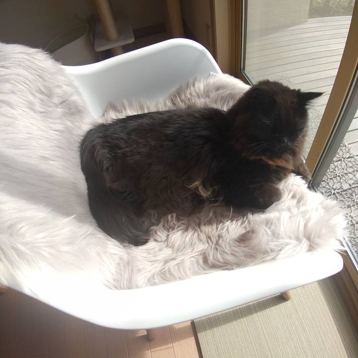 6b27b3e5 59d1 400c af52 abc7ad5f1402 1645064960997