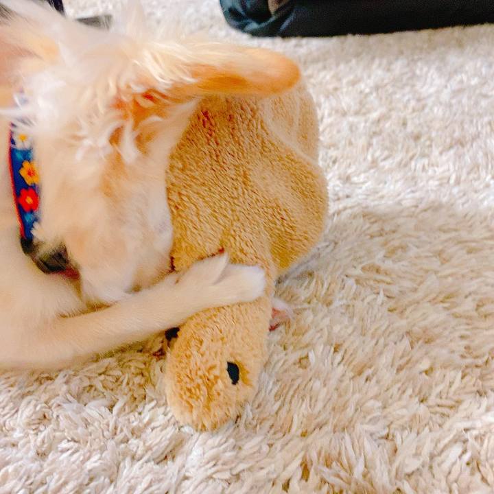 6b27e2dd 26fd 41cc a7f0 07d9cfea2c0e 1632379500409