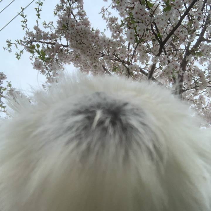 6b27f9cd bed1 43d7 8d59 425f79dd67ad 1712737019691