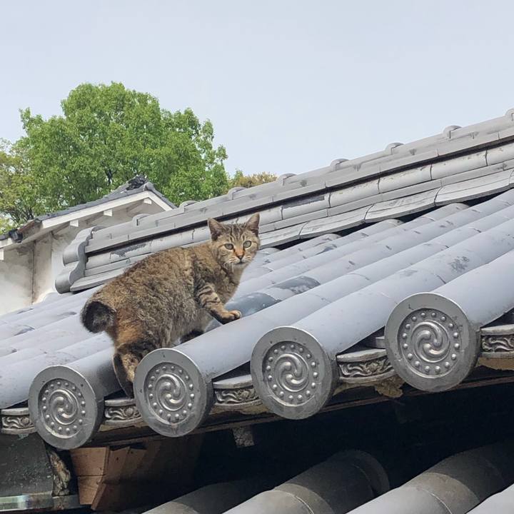 6b27feae 4e84 4bb4 8c49 1e0ef002637a 1681805850940