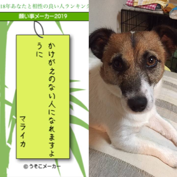 6b28021d 45c8 4a3b b188 818f1b9b04a2 1562499395833