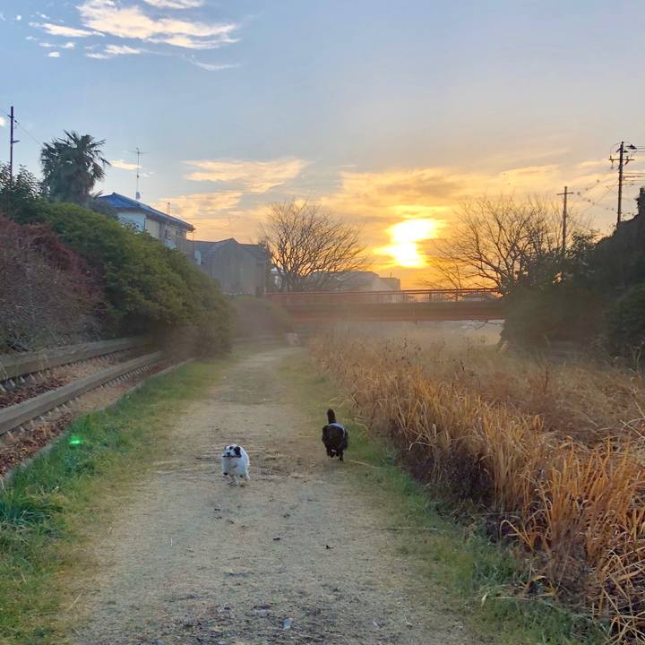 6b283187 8fd8 4256 8a54 a13ac955b6c4 1550622066191