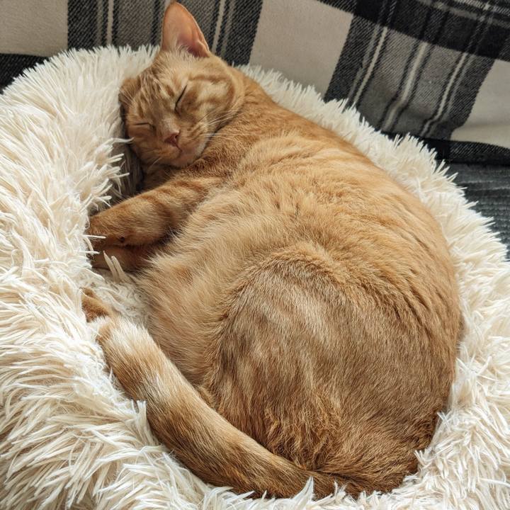 6b284197 cea5 416a 96e4 72ddd69b0a08 1687323817110