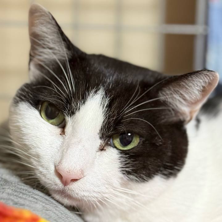 6b2846c6 2165 4262 b3ea 8bb7a7495b7c 1762566838132