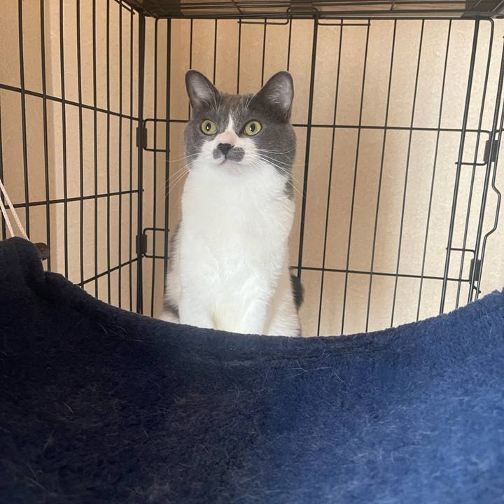 6b285637 e951 44d4 83da f38f20150cd7 1692238479210