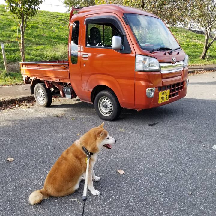 6b289ad3 a82c 4bf6 99c2 1f0bcf07a379 1632293568082