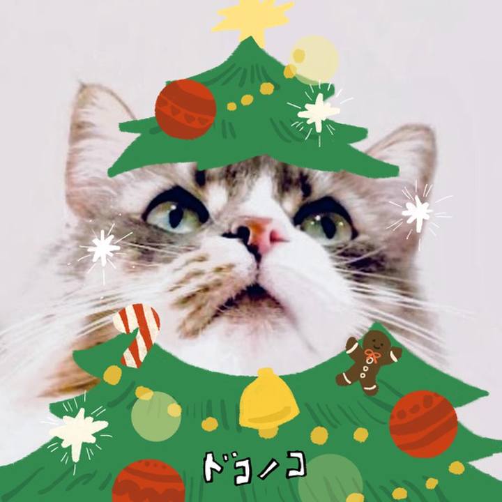 6b28b0b1 17bd 48a2 9304 40702fc3cb26 1764183017809