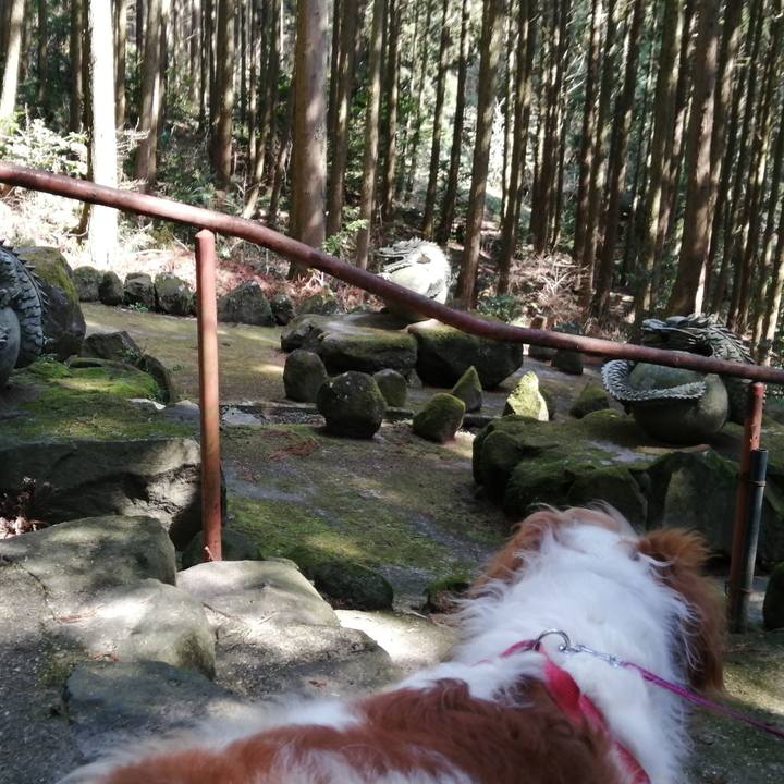 6b28d324 8360 4562 a6e0 45d249e17a1a 1584522591866