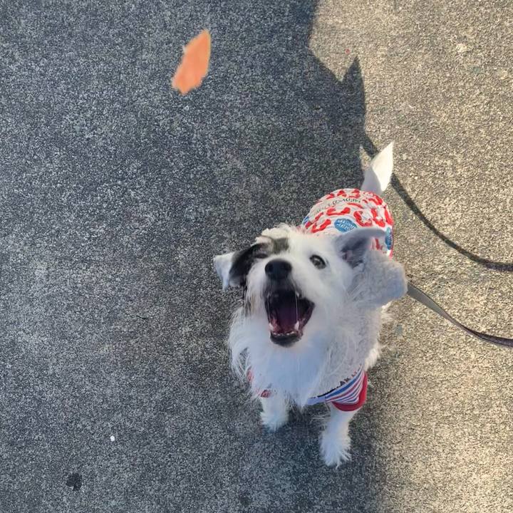 6b28dca4 6adc 47cf 8ee9 4c6fe2a60185 1701650005802