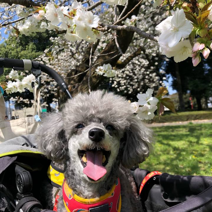 6b292e61 a610 4c6f 96f8 c0f2e974cc6d 1649591479567