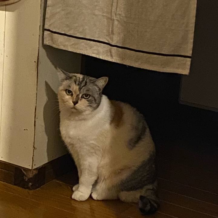 6b2961fd 6333 47a6 b348 cd92ec1449c3 1668781878682