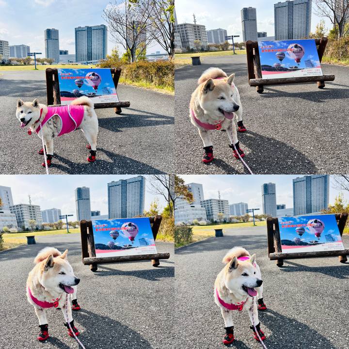 6b298e8c a06e 498a 9067 b9c720778616 1743847173295