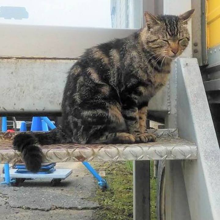 6b29d0bb f678 4553 944f 64a680eb32fa 1589242605533