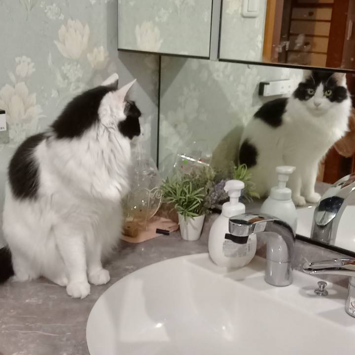 6b29dfc9 beda 45f7 b68e 45e523841f40 1608584969527