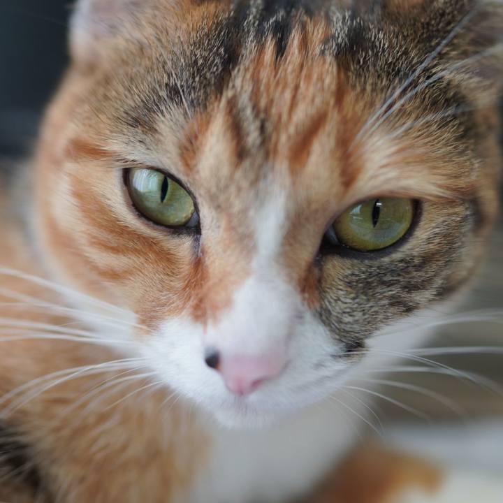 6b29ef38 128b 46b7 b70c a3c692d37f47 1593218555783