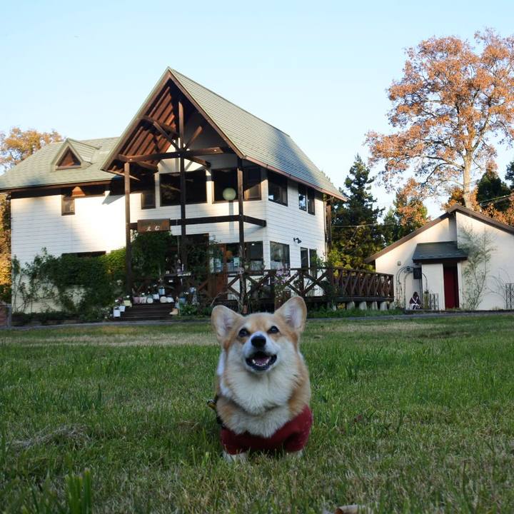 6b29f545 7d4e 44a7 9ae6 1d5ef9184958 1668936560981