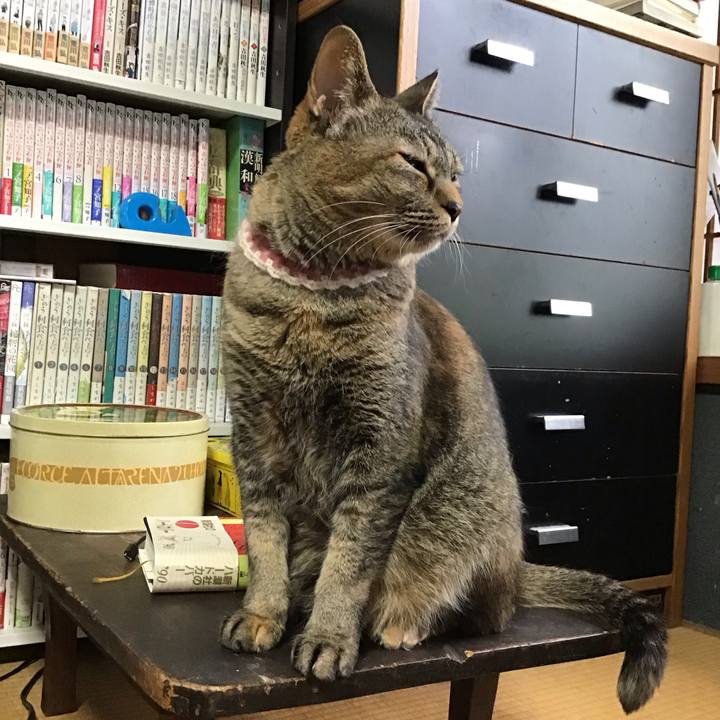 6b2a0347 00d3 4b08 863f 92f5379cd6c6 1714376005606